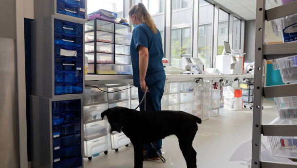chien et staff dans le labo